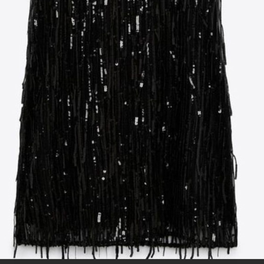 Zara Black Sequin Fringed Mini Dress
Short Sleeve Dress - Picture 8 of 11